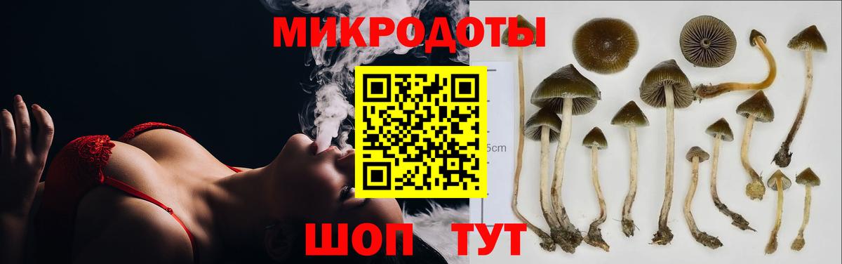 Псилоцибиновые грибы мицелий Тавда